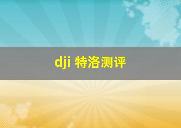 dji 特洛测评